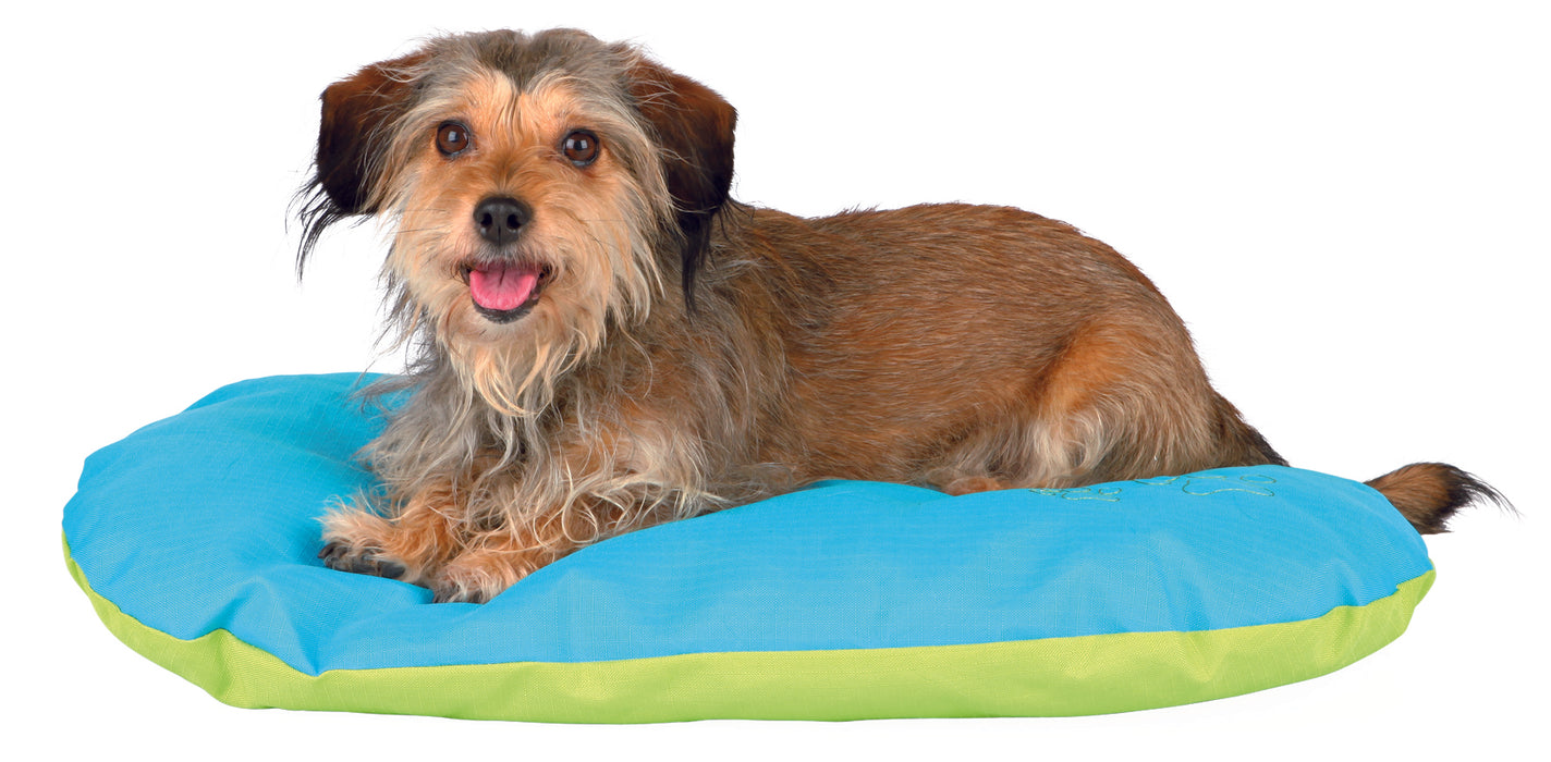 COUSSIN POUR CHIEN DRAGO 60X40 TURQOISE/VERT (TAPIS EN LAINE)