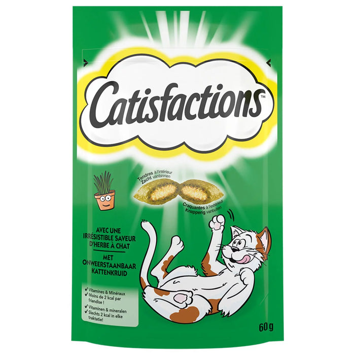 CATISFACT 60G herbe à chat