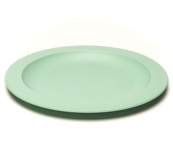 ASSIETTE PLATE AMUSE BIO D24,5XH1,8CM