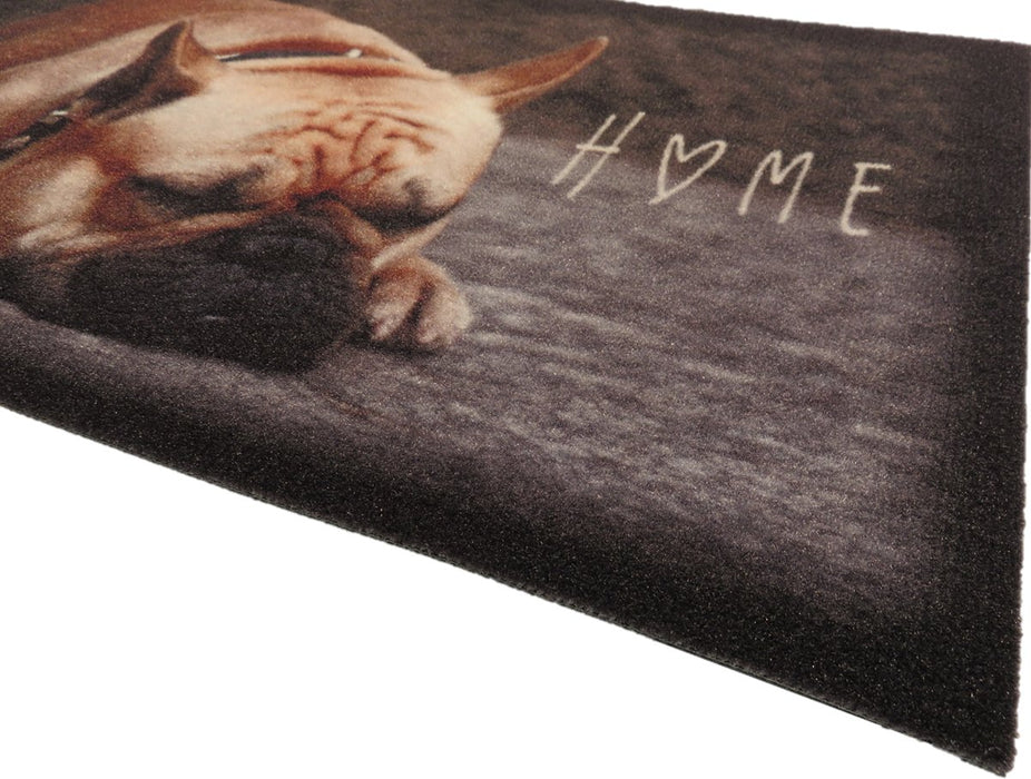 IMAGE HOPE YOU LIKE DOGS 45X75