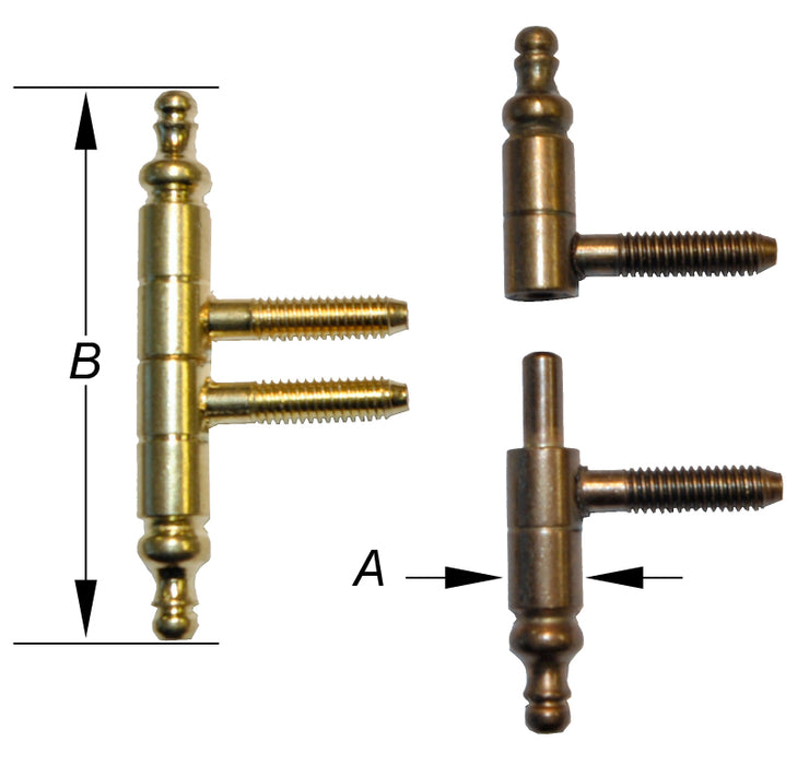 2 COUPES, TYPE ANUBA, VERMESS. 11X78MM