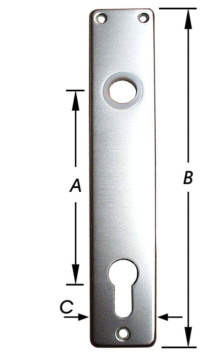 2 BOUCLIERS DE PORTE, TROU CIL., ALU F1 110 X 210 MM