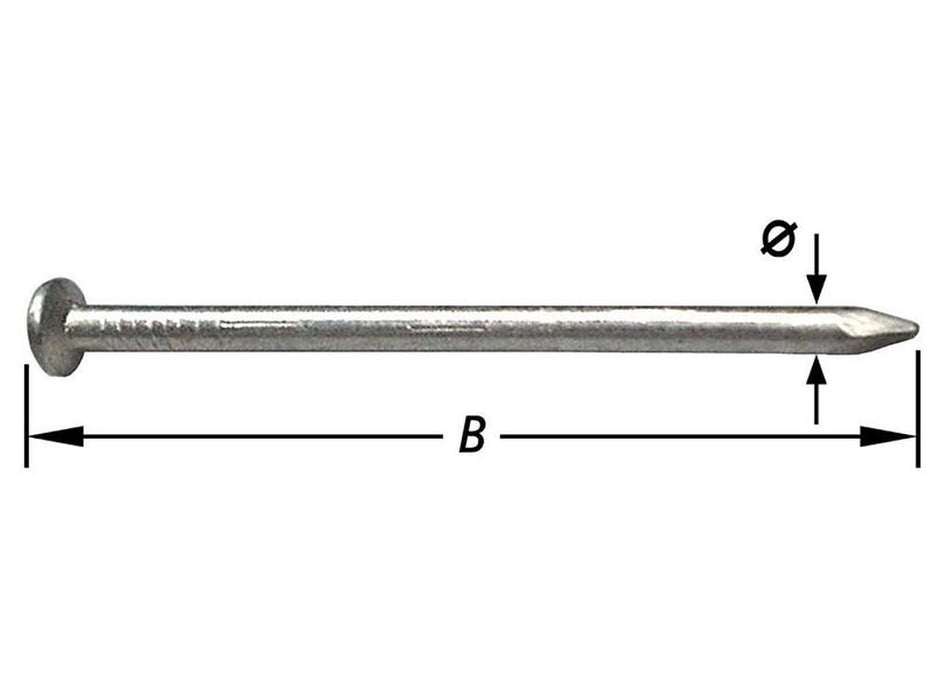 CLOUS EN FER TÊTE PLATE 1,2 X 20 MM 0,2KG