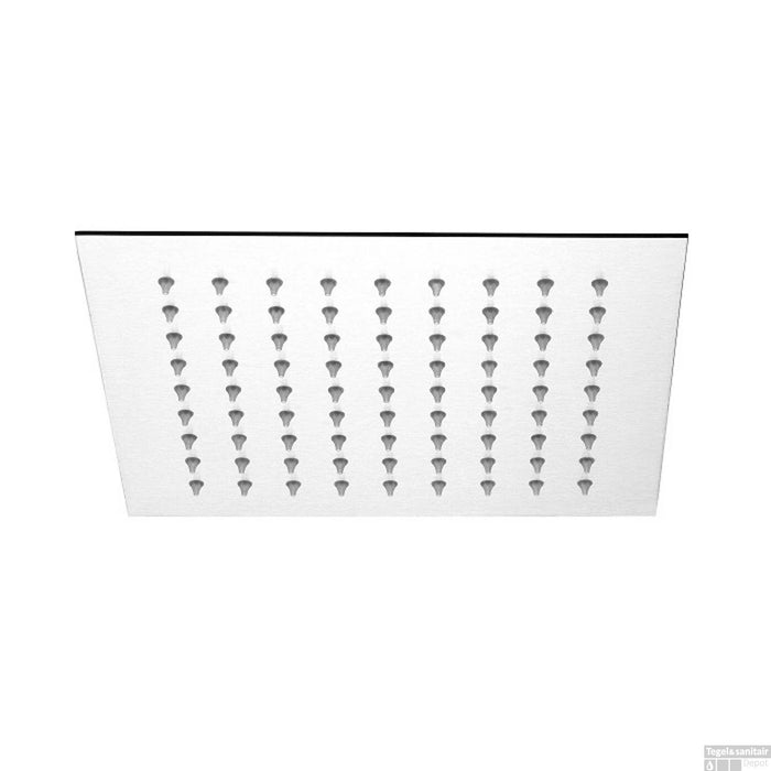 POMME DE DOUCHE STRASBOURG INOX 20X20CM