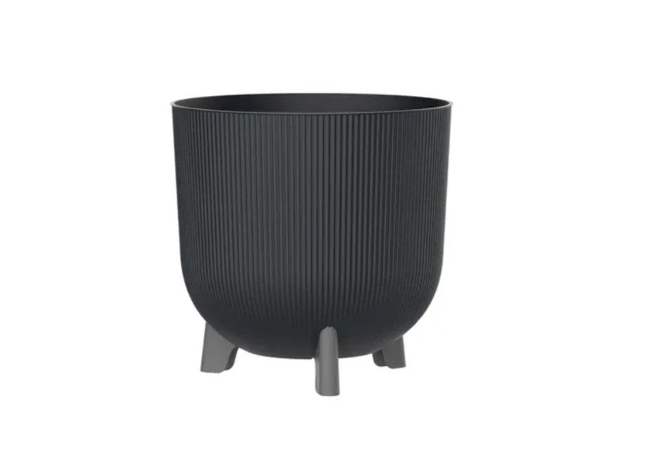 PLA06033