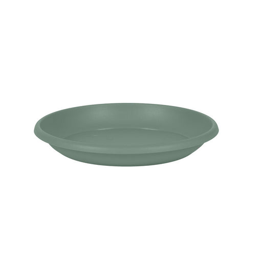 PLA06041