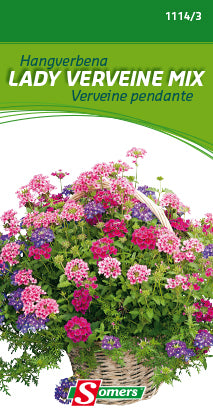 HANGVERBENA LADY VERVEINE MIX - K