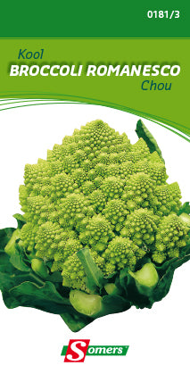 KOOL BROCCOLI ROMANESCO - K