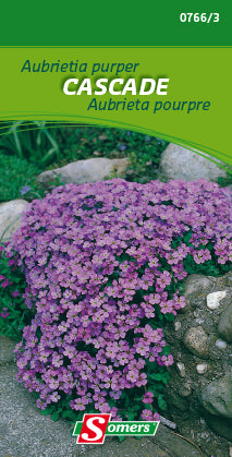 AUBRIETA PURPER CASCADE  - G