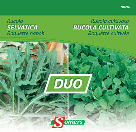 DUO RUCOLA SELVATICA + RUCOLA CULTIVATA - K