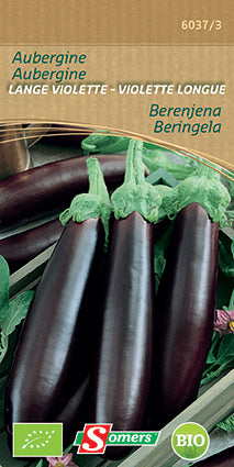 BE-BIO-02 AUBERGINE LANG VIOLETTE - I