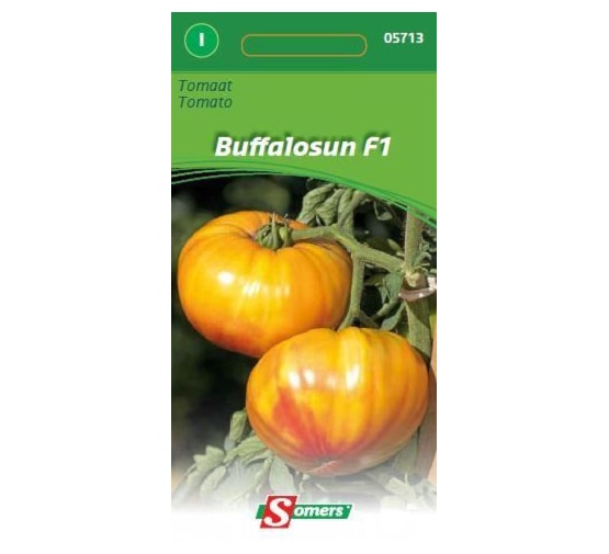 TOMATE BUFFALOSUN F1 - I