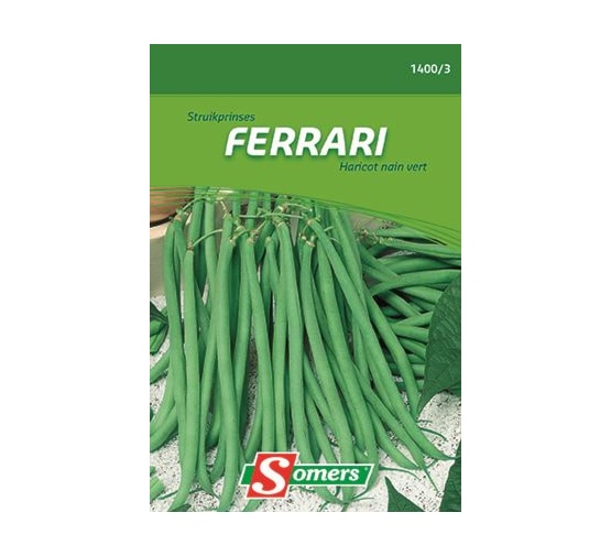 BUSH PRINCESSE FERRARI 25G - I