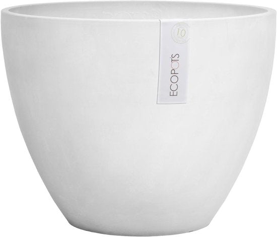 ANTWERP White Grey 30