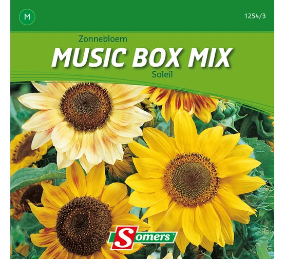 MIX BOITE A MUSIQUE TOURNESOL - M