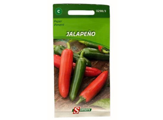 SOM01569