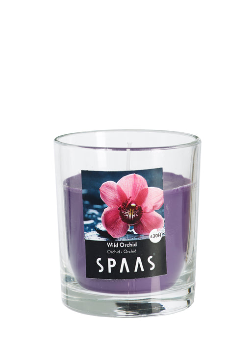 GLAS GEUR TRANSPARANT WILD ORCHID