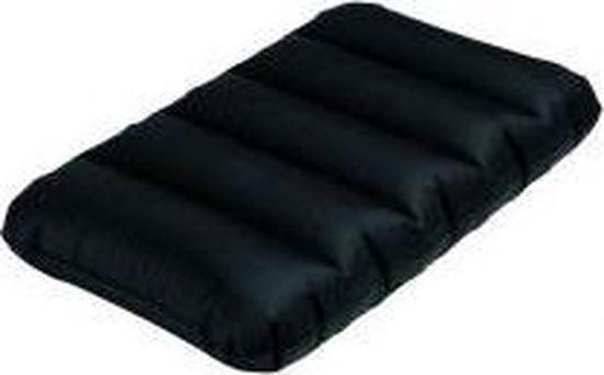 COUSSIN GONFLABLE 48X32