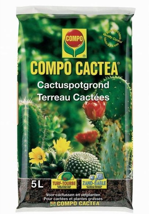COMPO SANA CACTUSPOTGR.5L