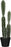 Cactus in pot groen - h51xd13,5cm