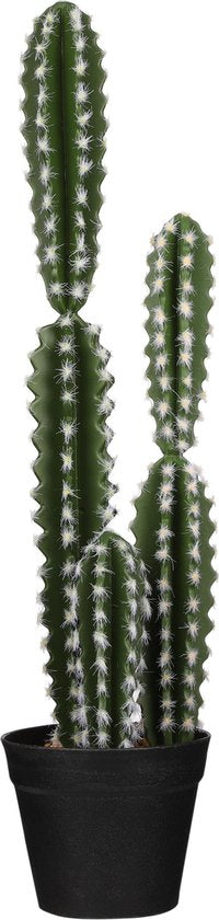 Cactus in pot groen - h51xd13,5cm