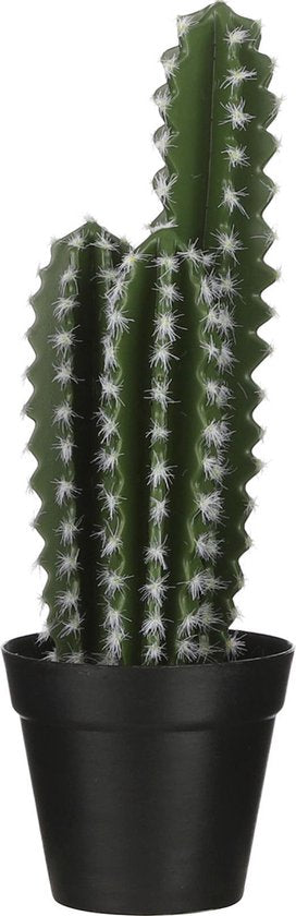Cactus in pot groen - h38xd12,5cm