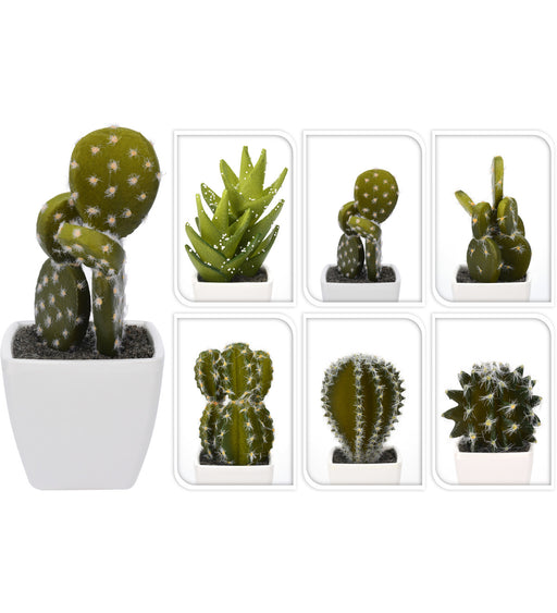 CACTUS IN POT WIT 115MM 6ASS