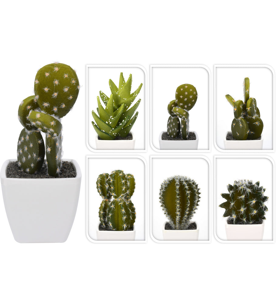 CACTUS IN POT WIT 115MM 6ASS